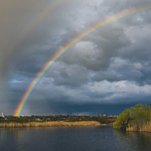 Photo #13505447