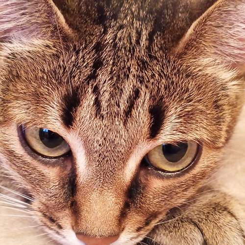 Photo #13505802