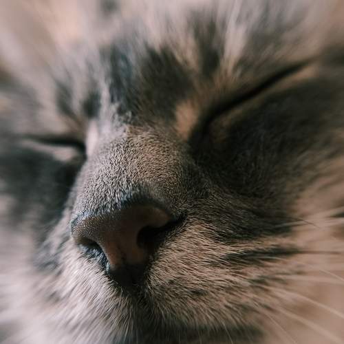 Photo #13505949