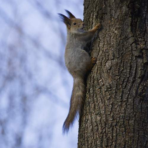 Photo #13505972
