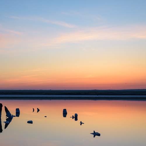 Photo #13506245