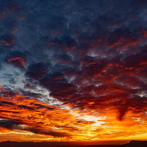 Photo #13506324