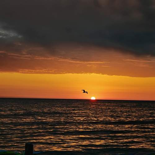 Photo #13506560