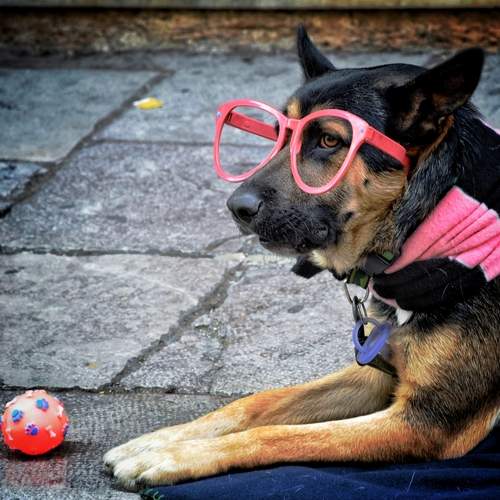 Photo #13506688