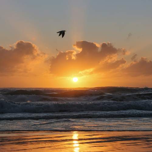 Morning beach