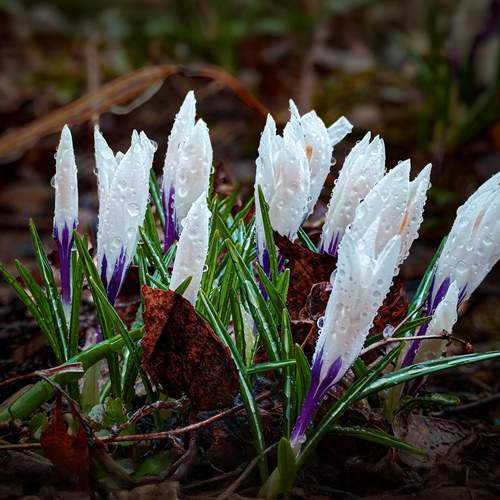 Photo #13506921