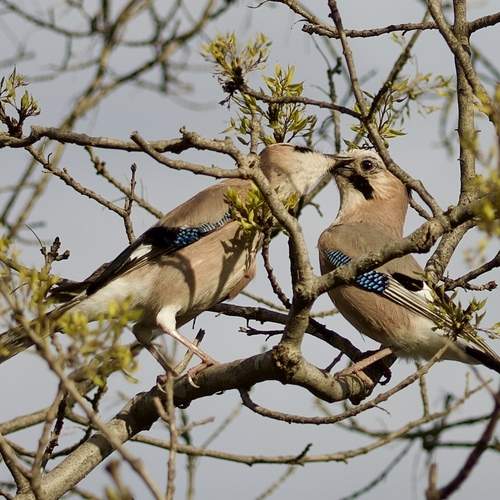 Photo #13507289
