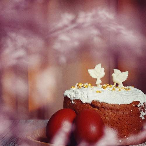 Photo #13507401