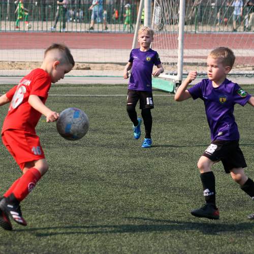 Photo #13507721