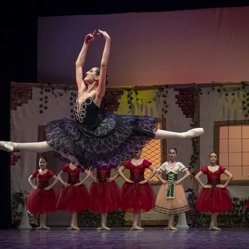 Photo #13507777