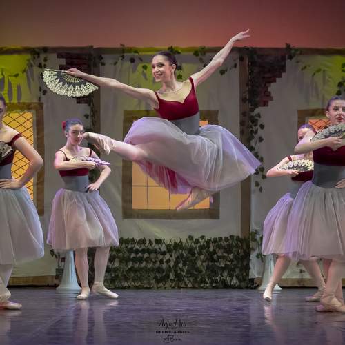 Photo #13507782