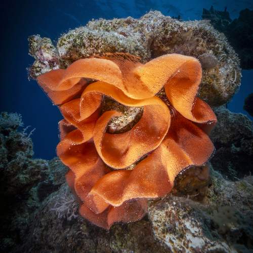 Photo #13507824