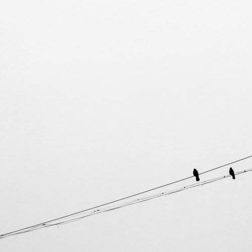 Photo #13507892