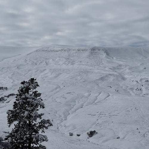 Photo #13507947