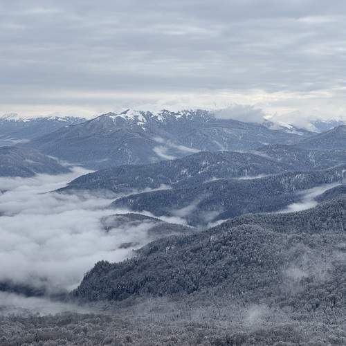 Photo #13507949
