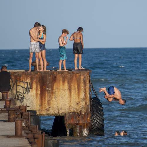 Photo #13508000