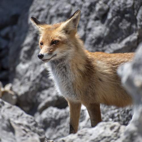 Photo #13508001