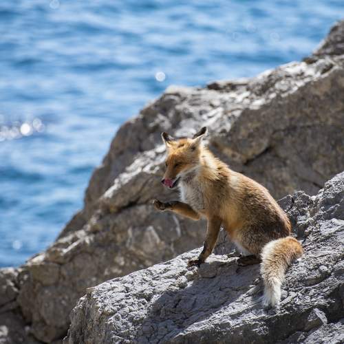 Photo #13508002
