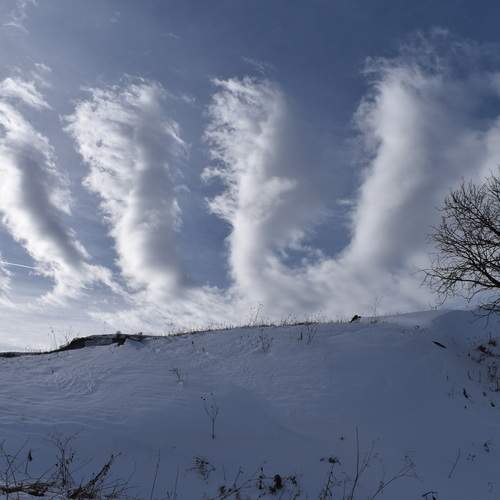 Photo #13508014