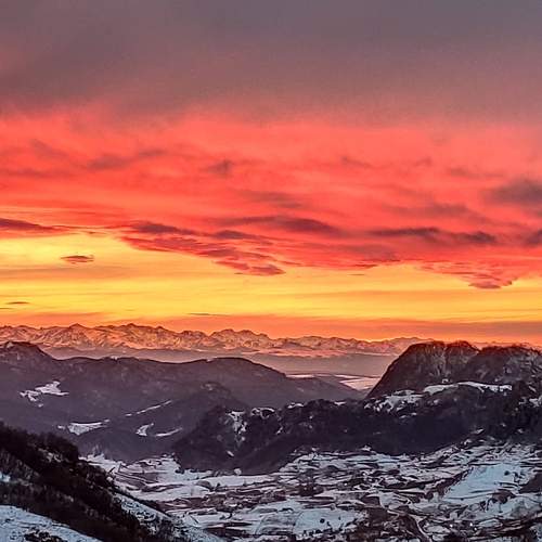 Photo #13508406