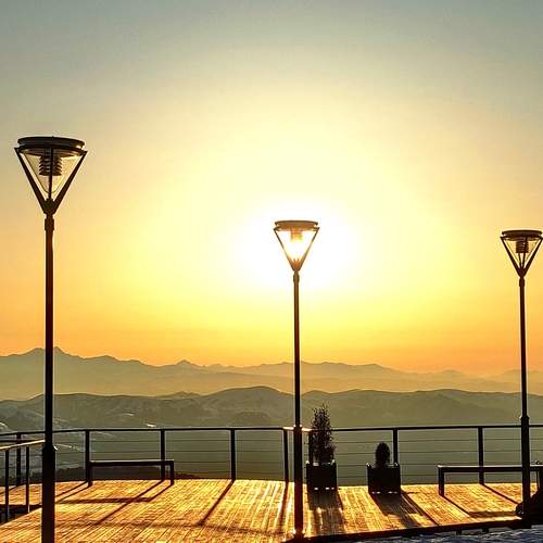 Photo #13508418