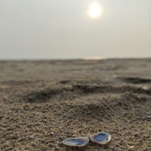 Photo #13508425