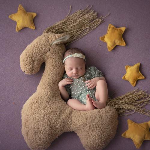 Photo #13508429