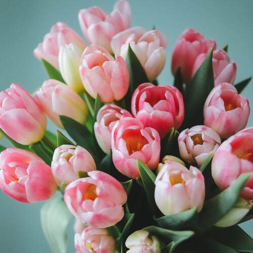 Photo #13509014