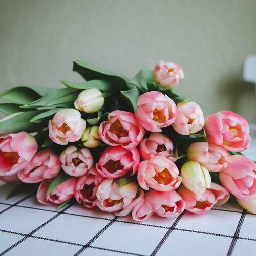 Photo #13509015