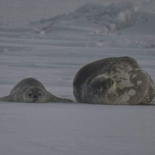 Photo #13509092