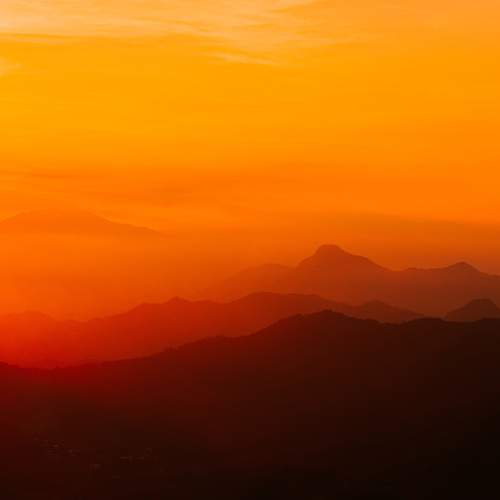 Photo #13509423