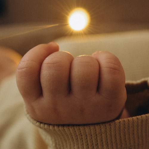 Photo #13509438