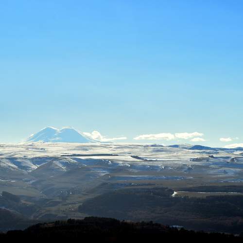 Photo #13509488