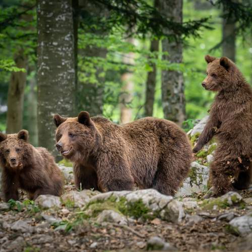 Photo #13509669