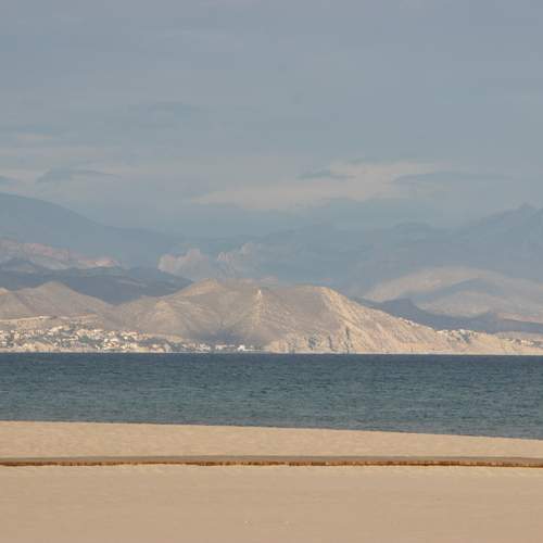 Photo #13509677