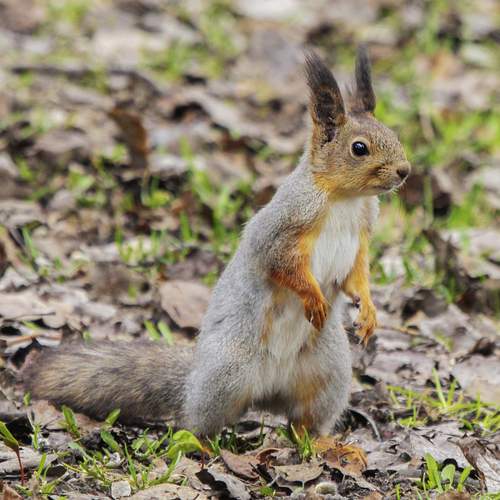 Photo #13509683