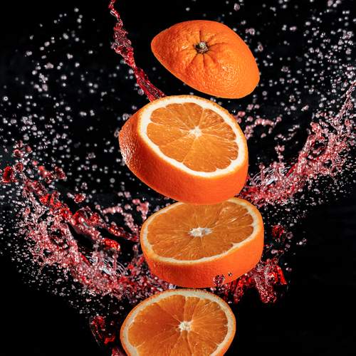 Photo #13509740