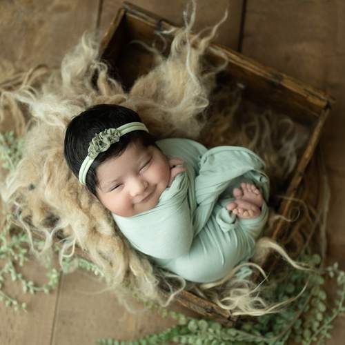 Photo #13509798