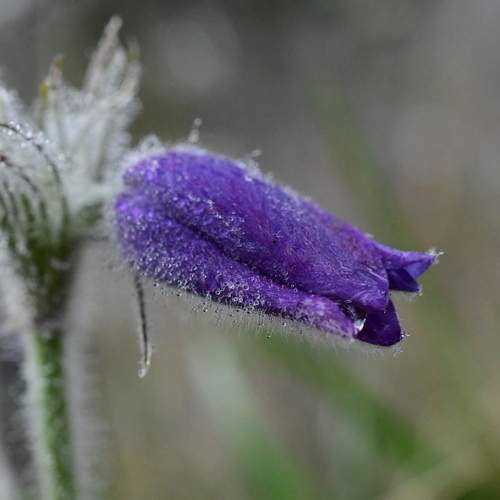 Photo #13509969