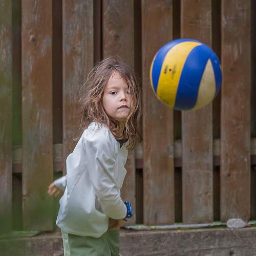 Photo #13509985