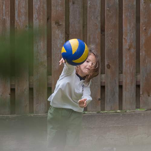 Photo #13510205