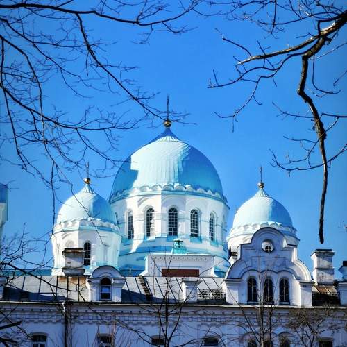 Photo #13510300