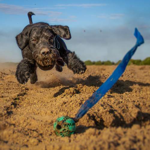 Photo #13510385