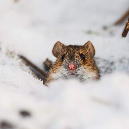 Photo #13510466