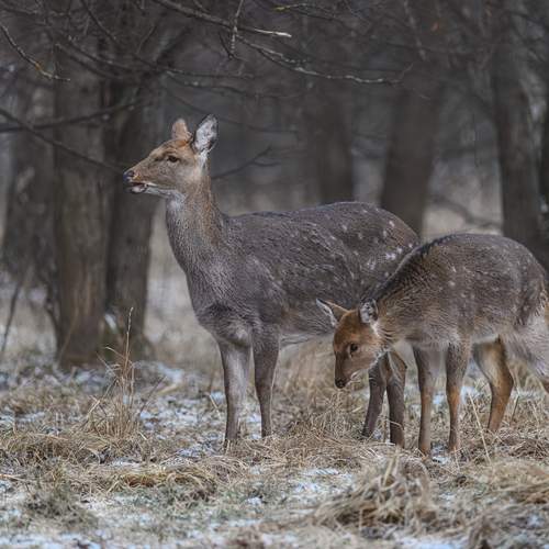 Photo #13510471