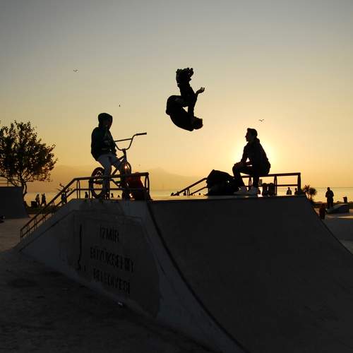 Photo #13510530