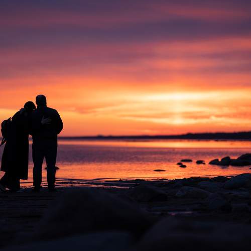 Photo #13510606