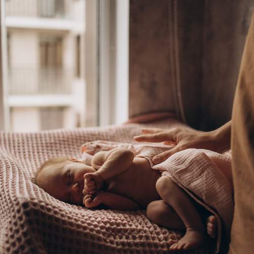 Photo #13510614