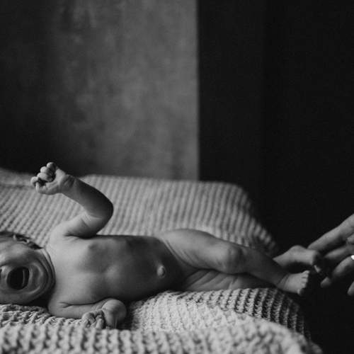 Photo #13510615