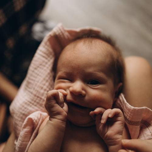Photo #13510616